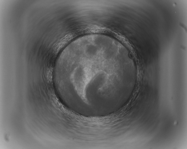 X0000100330010200806261313