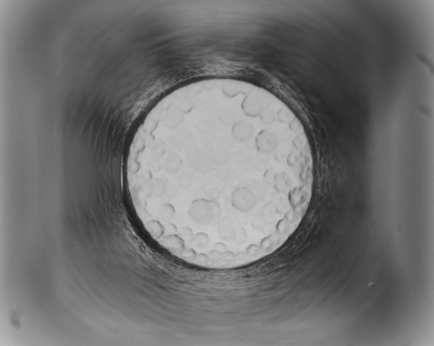 X0000100330011200806261313