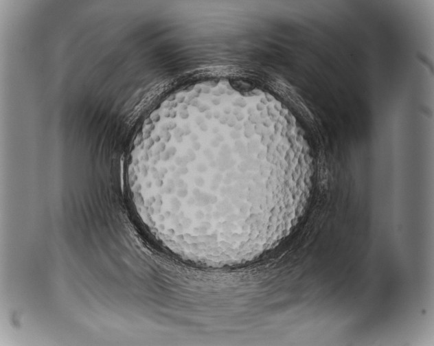 X0000100330014200806261313