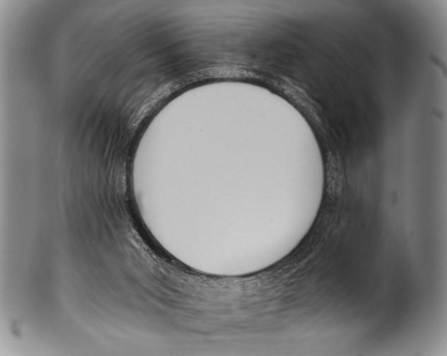 X0000100330015200806261313