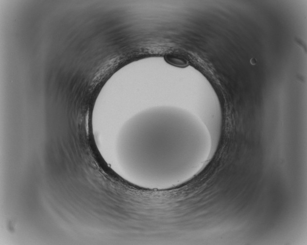 X0000100330019200806261313