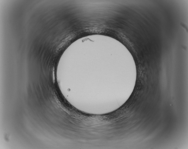 X0000100330020200806261313