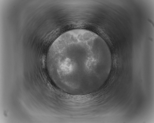 X0000100330026200806261313