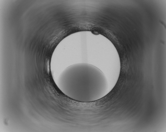 X0000100330027200806261313