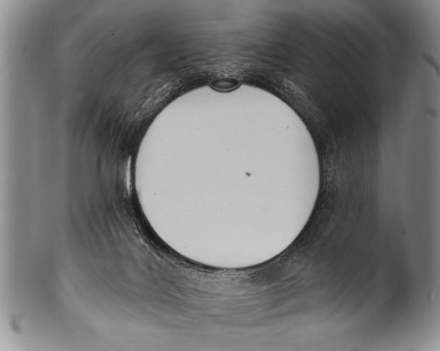 X0000100330028200806261313