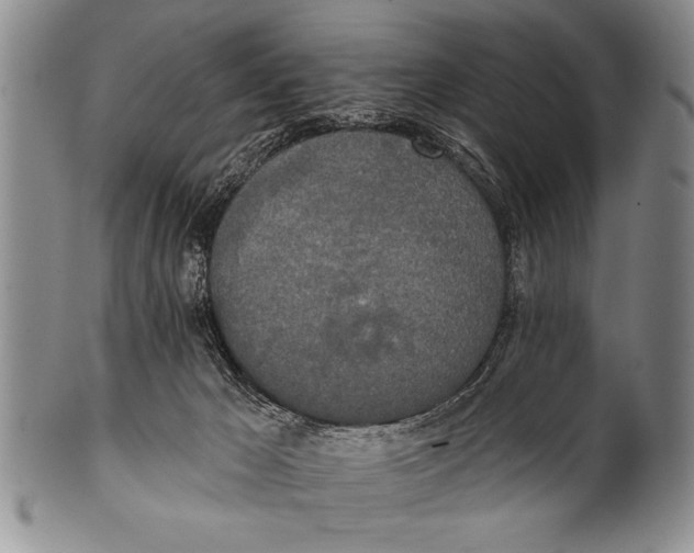 X0000100330029200806261313