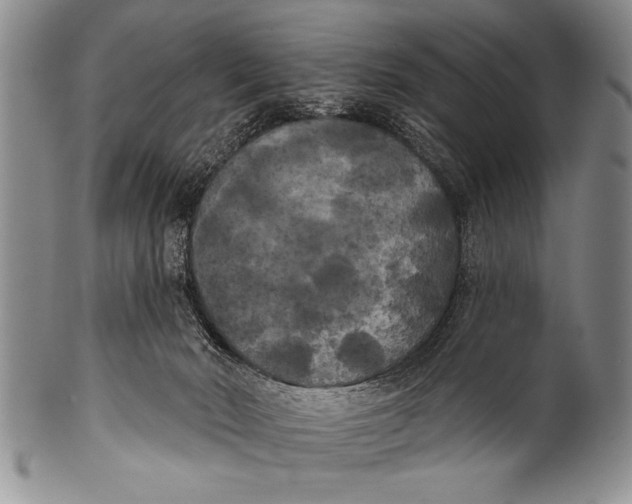 X0000100330030200806261313