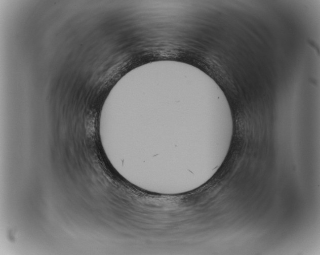 X0000100330032200806261313