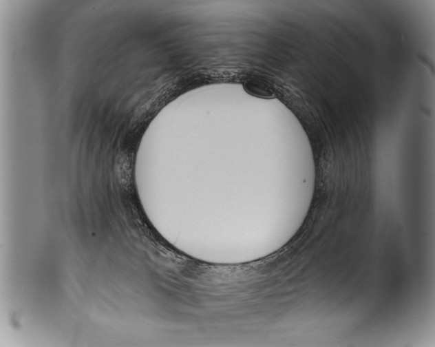 X0000100330037200806261313