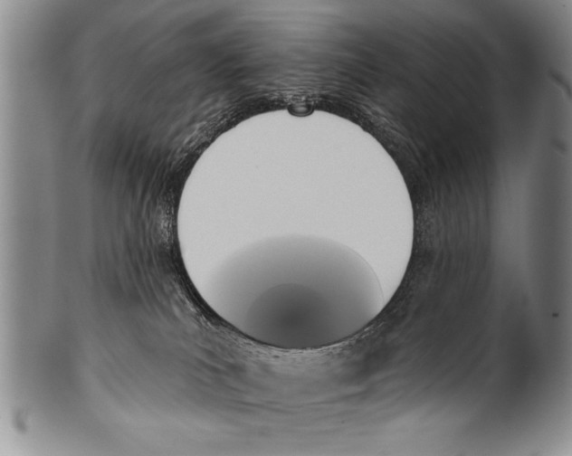 X0000100330039200806261313