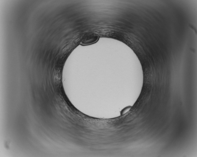 X0000100330040200806261313