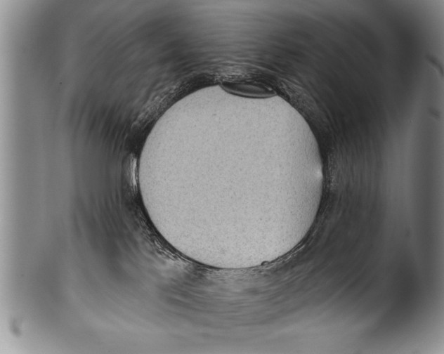 X0000100330041200806261313