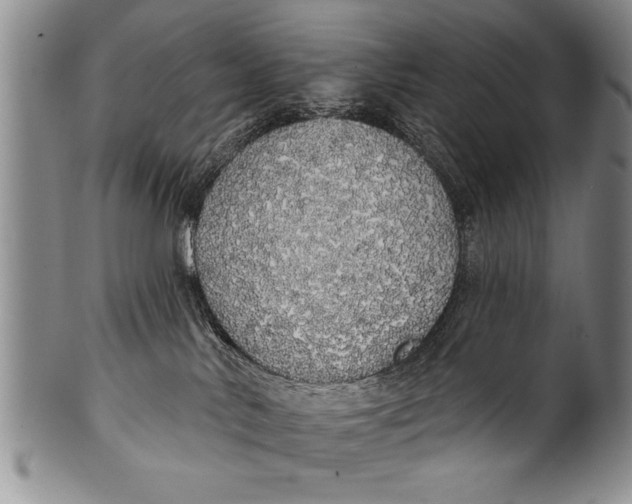 X0000100330042200806261313