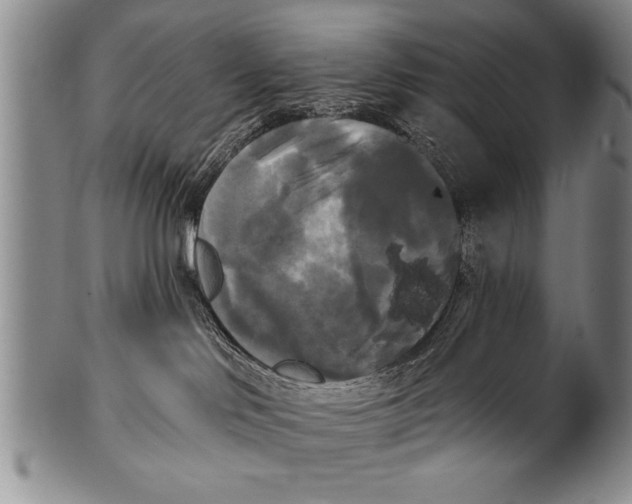 X0000100330046200806261313