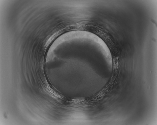 X0000100330051200806261312