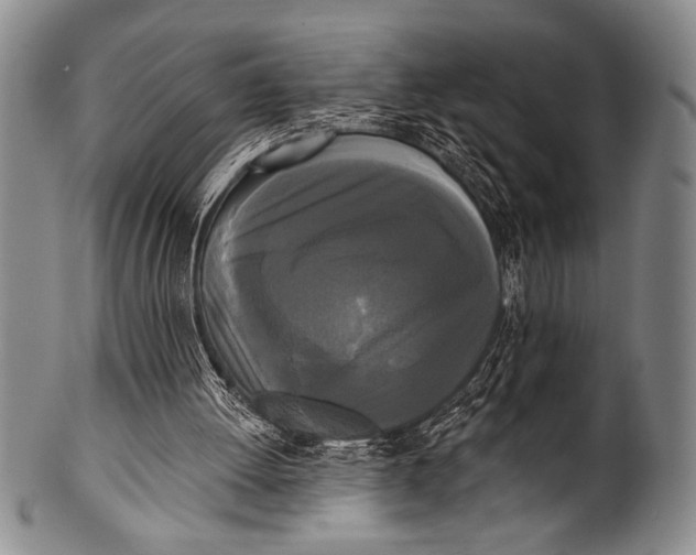 X0000100330052200806261312