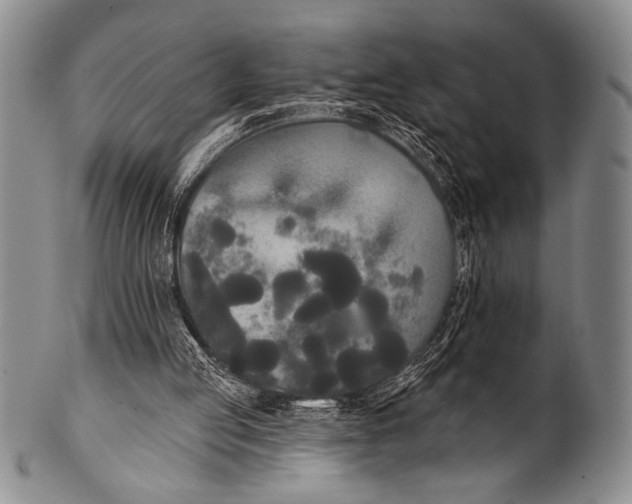 X0000100330053200806261312