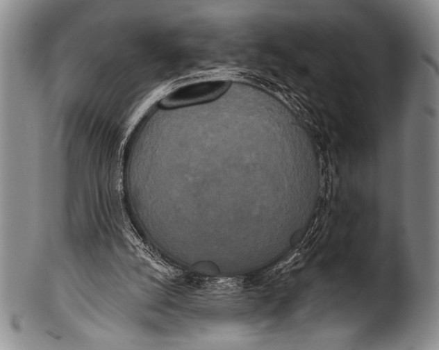 X0000100330056200806261312