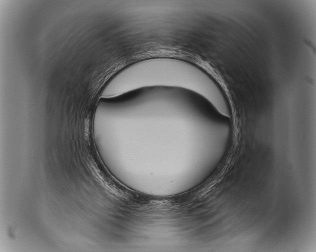 X0000100330057200806261312