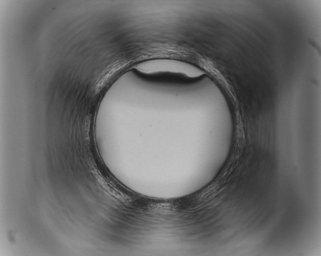 X0000100330058200806261312