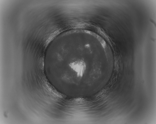 X0000100330059200806261312