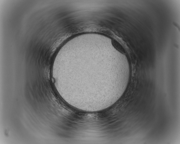 X0000100330060200806261312