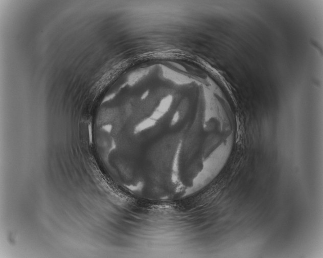 X0000100330061200806261312