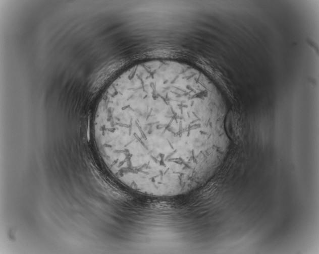 X0000100330062200806261312