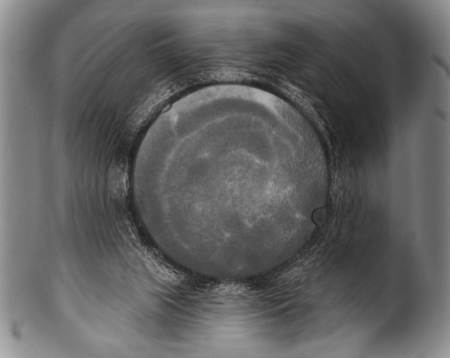 X0000100330063200806261312