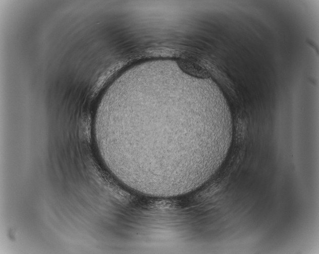 X0000100330064200806261312