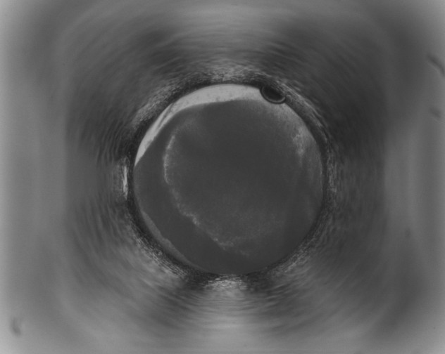 X0000100330067200806261312