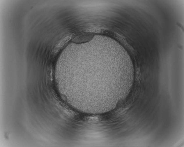 X0000100330068200806261312