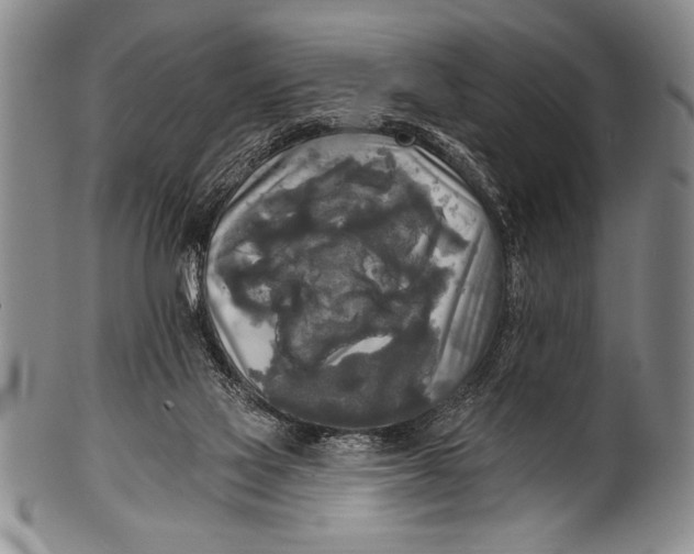 X0000100330069200806261312