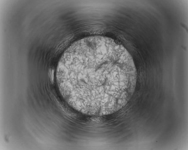 X0000100330070200806261312