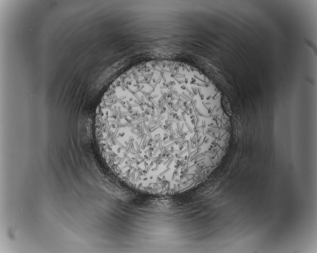 X0000100330071200806261312