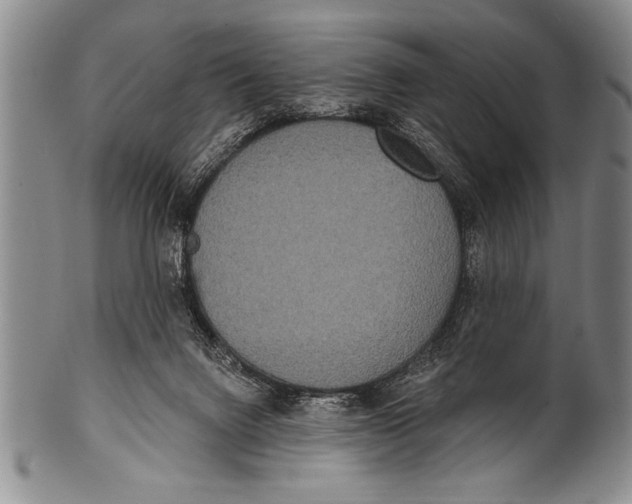 X0000100330072200806261312