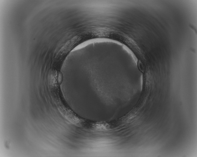 X0000100330073200806261312