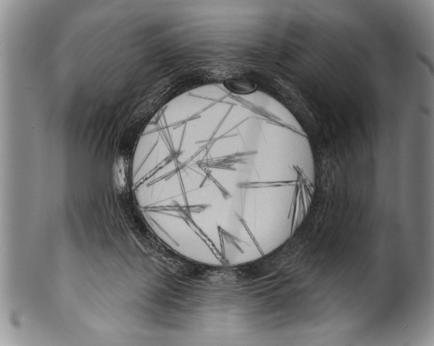 X0000100330075200806261312