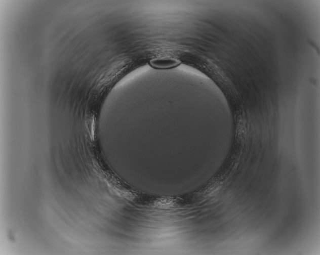 X0000100330076200806261312