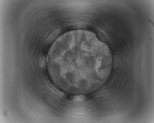 X0000100330077200806261312