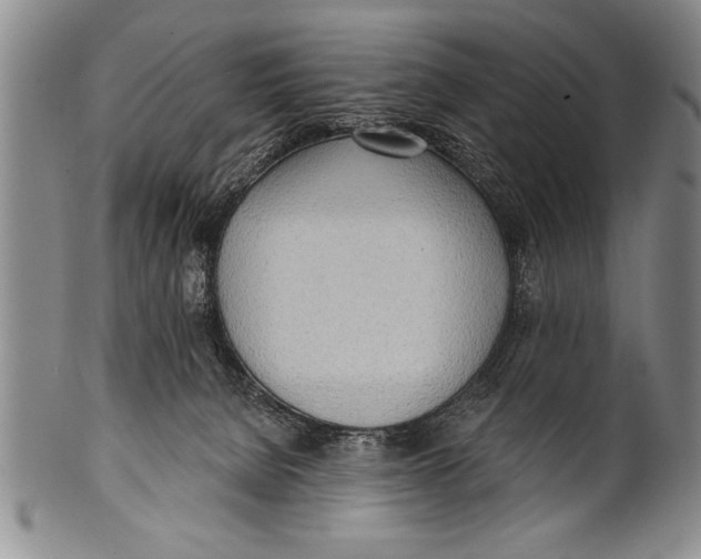 X0000100330080200806261312