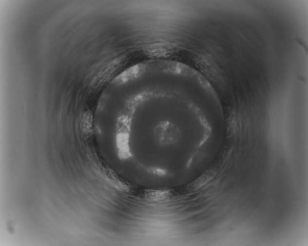 X0000100330081200806261312