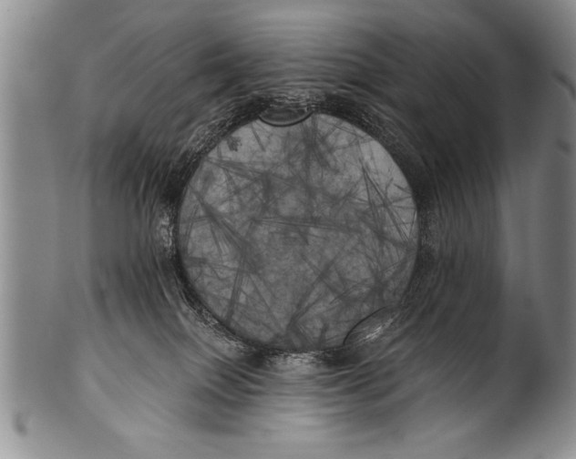 X0000100330086200806261312