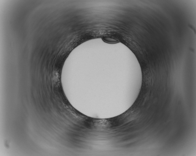 X0000100330087200806261312