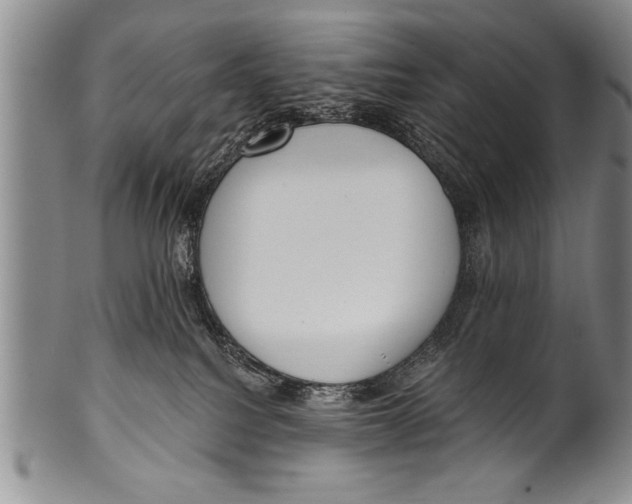 X0000100330088200806261313