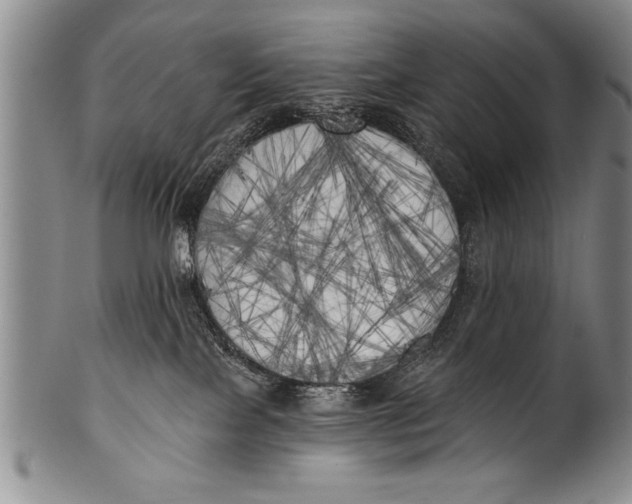 X0000100330089200806261313