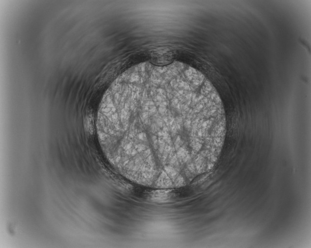 X0000100330090200806261313