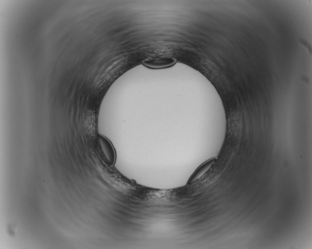 X0000100330092200806261313