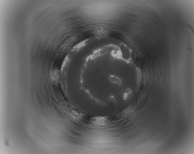 X0000100330093200806261313