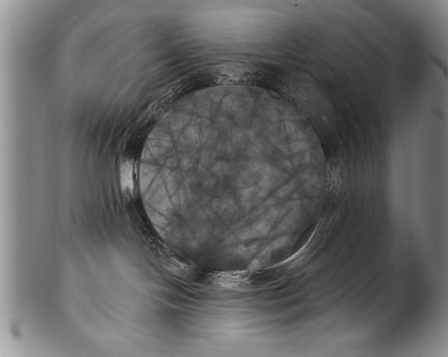 X0000100330094200806261313